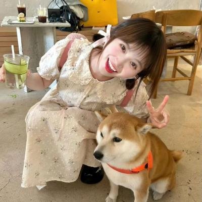 真假森林王
